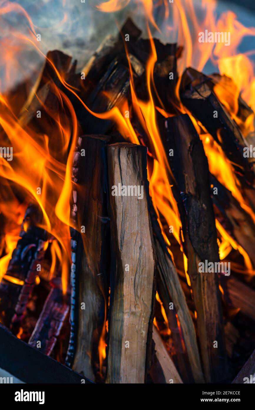 Burning wood chips to form coal. Barbecue preparation, fire before