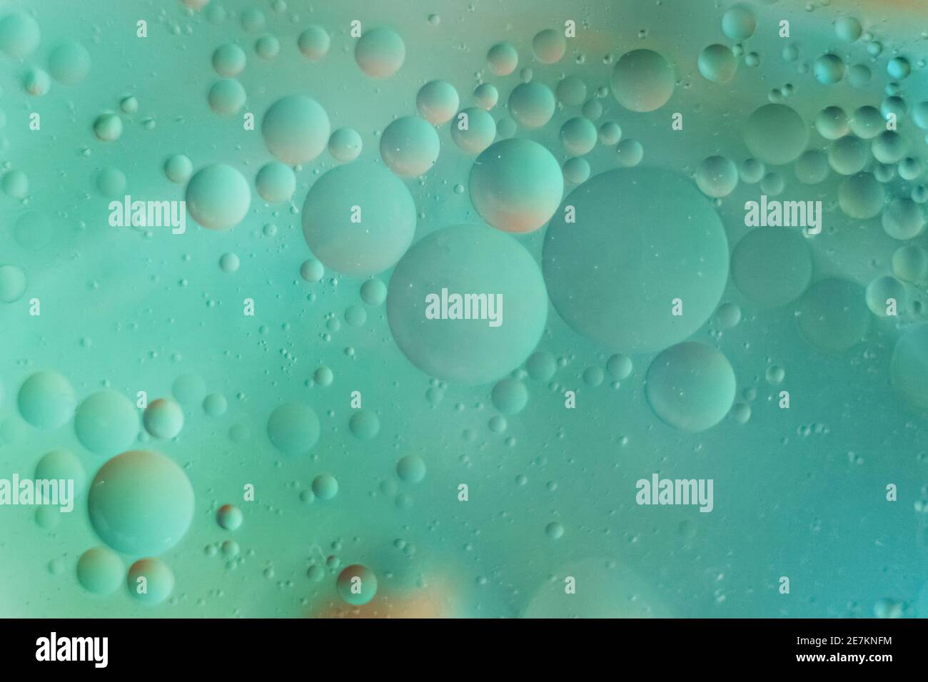 Macro photo of oil droplets in water on a green blue blurred background ...