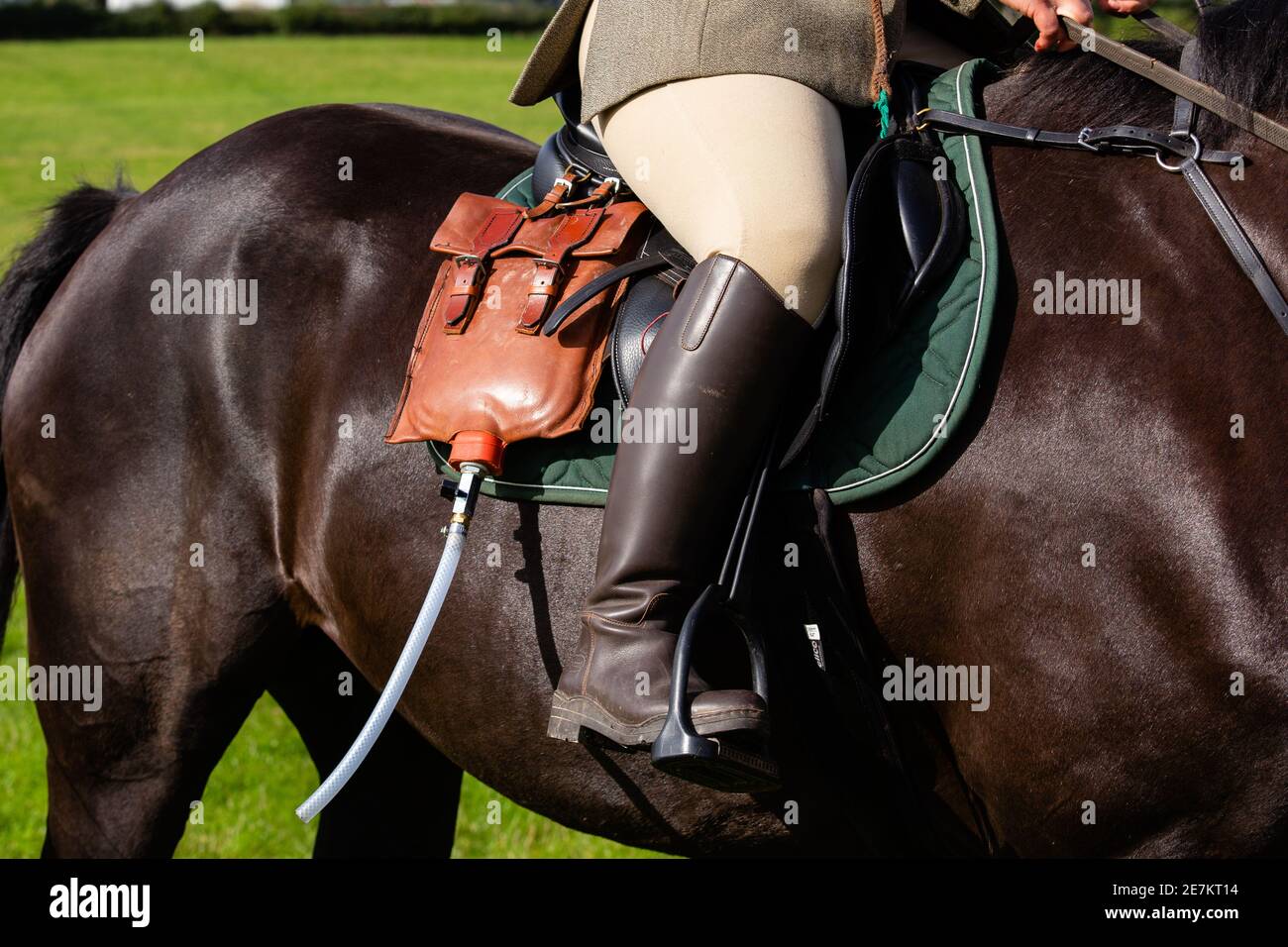 Drag hunting hires stock photography and images Alamy