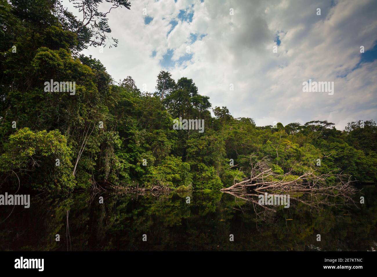 Mpivie river, Gabon, central Africa Stock Photo