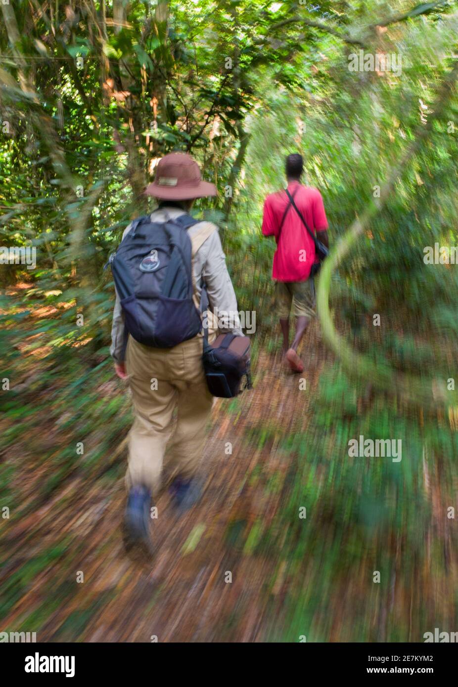 Eco-tourist walking along trail in rainforest, Loango National Park, Gabon Stock Photo