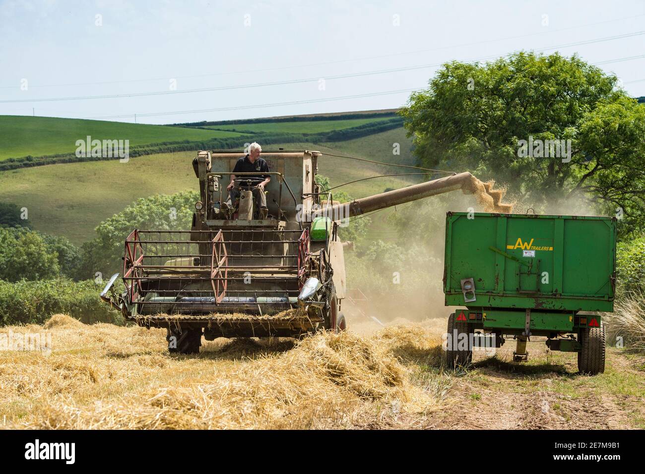 vintage claas matador combine harvester at work combining in the uk countryside Stock Photo