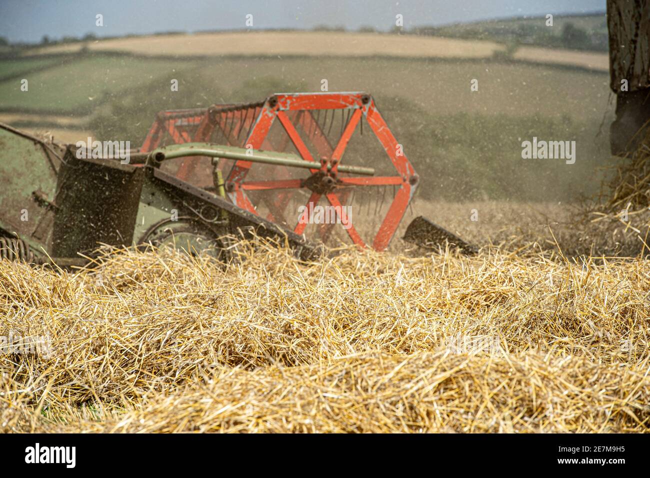 vintage claas matador combine harvester at work combining in the uk countryside Stock Photo