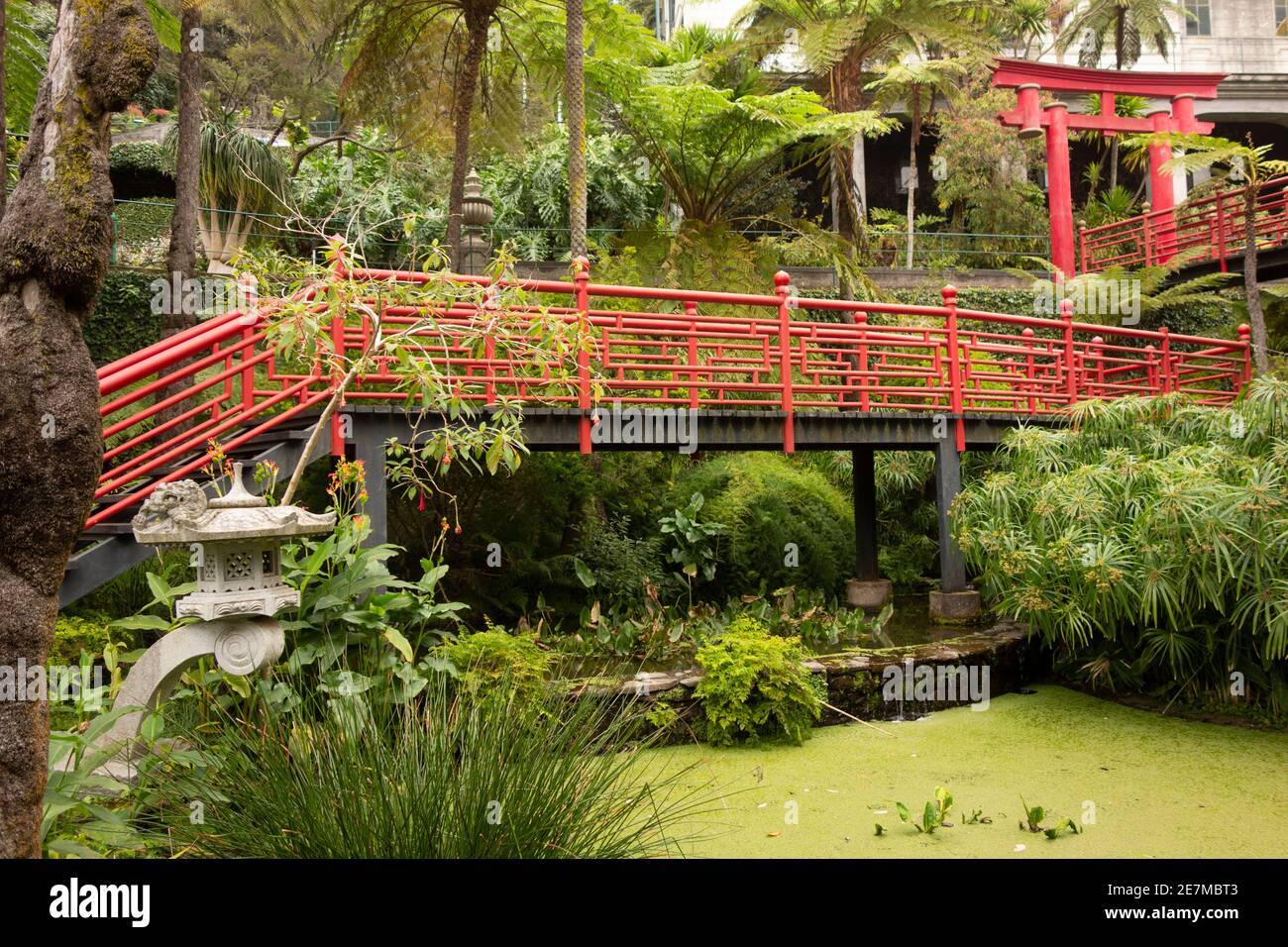 raised walkway with red railings above the pond in the Southern Oriental garden in the Monte Palace Tropical Garden Stock Photo