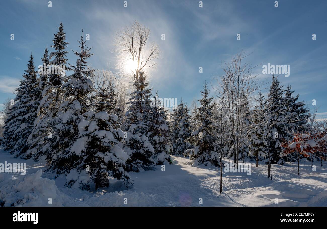 Winter in my Québec Stock Photo - Alamy