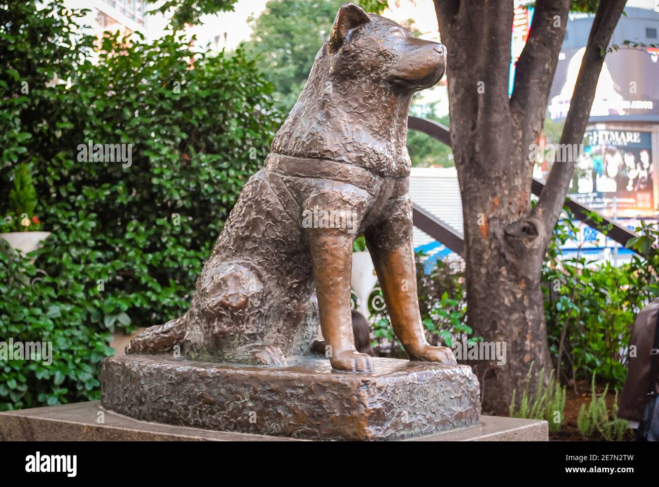 Bronze statue of a dog, Hachiko, Tokyo, Japan Stock Photo