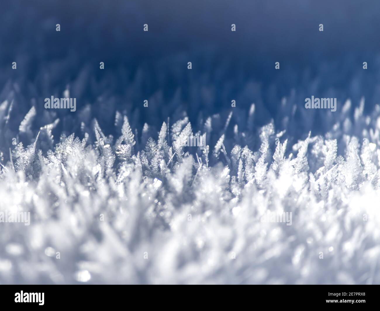 Abstract white and blue background of frozen snowflakes Stock Photo