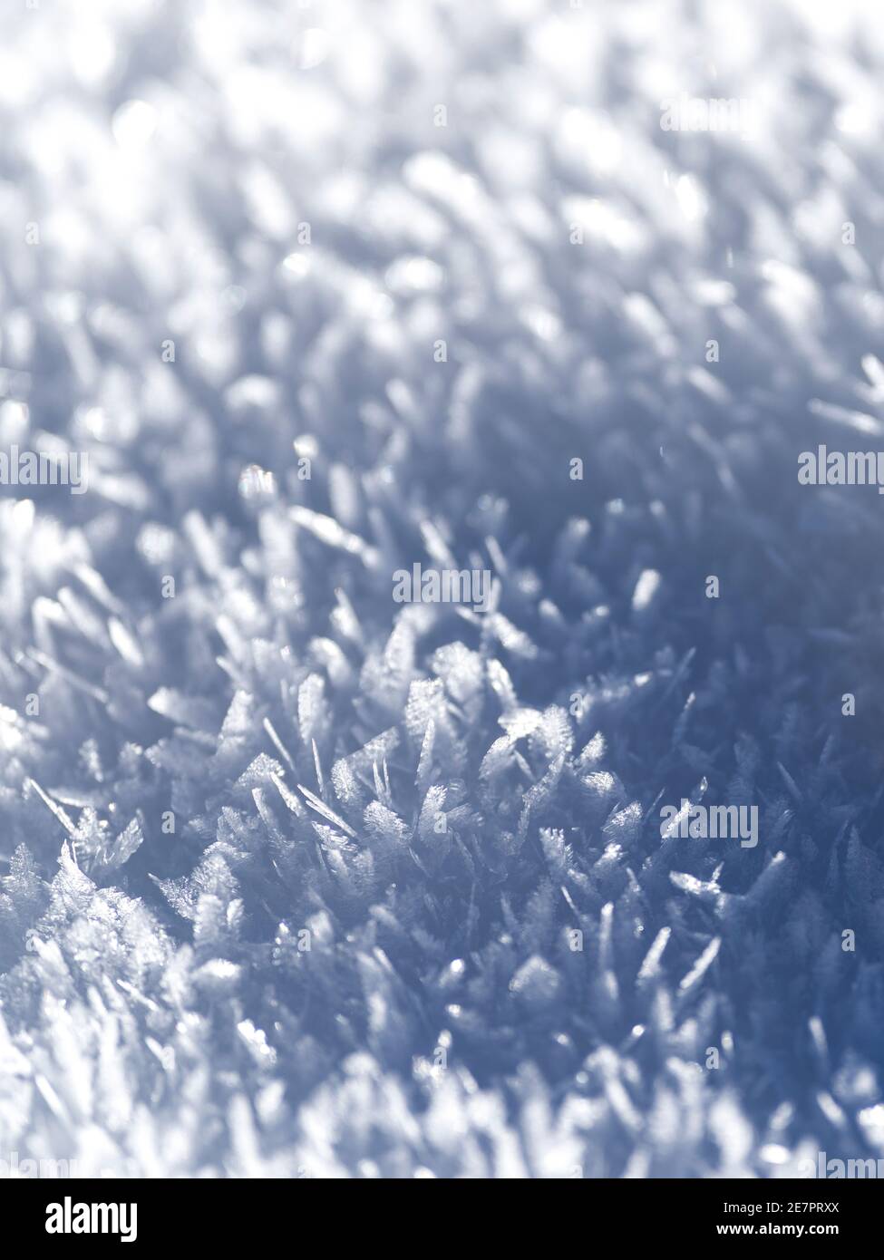 Abstract white and blue background of frozen snowflakes Stock Photo