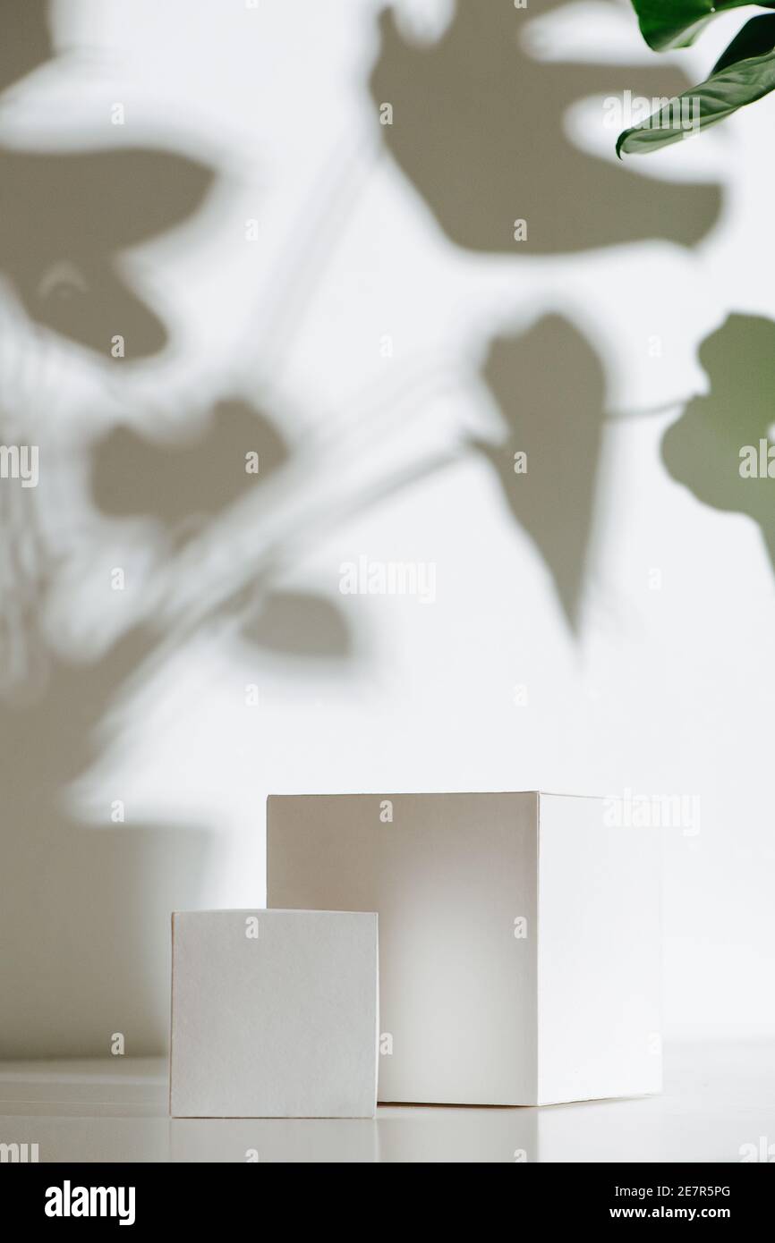 Shady image of two white cubes over wall with a shadow of big leaves on stems Stock Photo