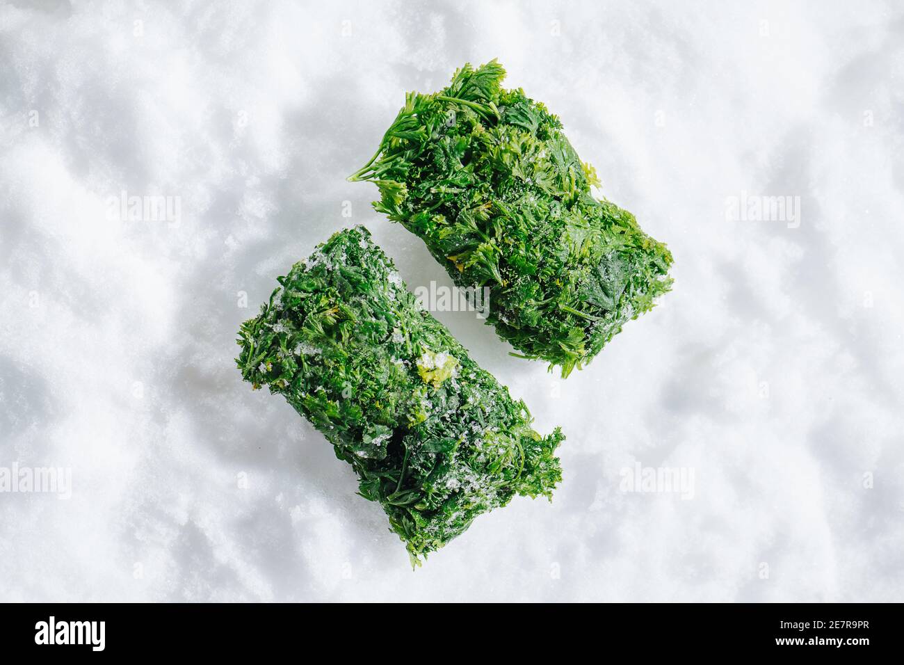 Two frozen parsley green briquettes on a grinded ice. top view. Stock Photo