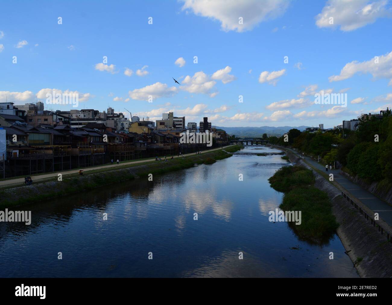 Kamogawa kamo river japanese hi-res stock photography and images - Alamy