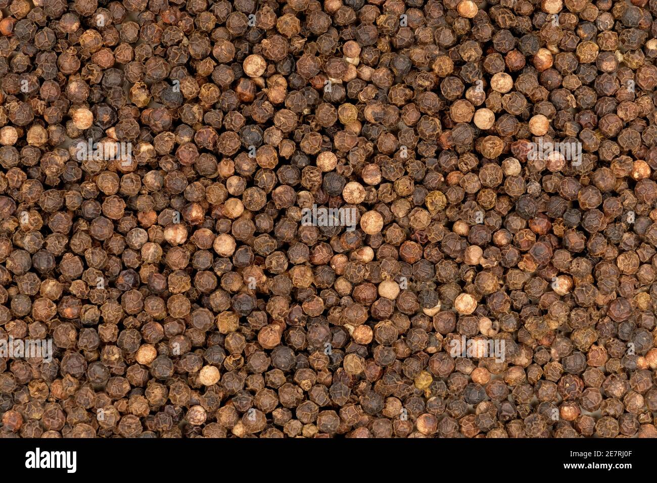 Closeup of Black Peppercorns Stock Photo