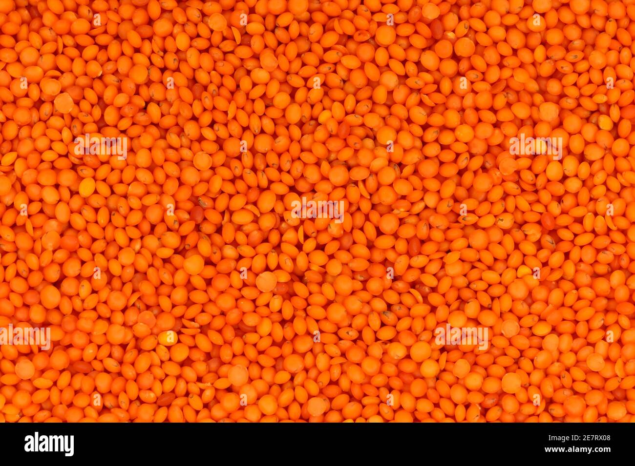 Red lentils Stock Photo