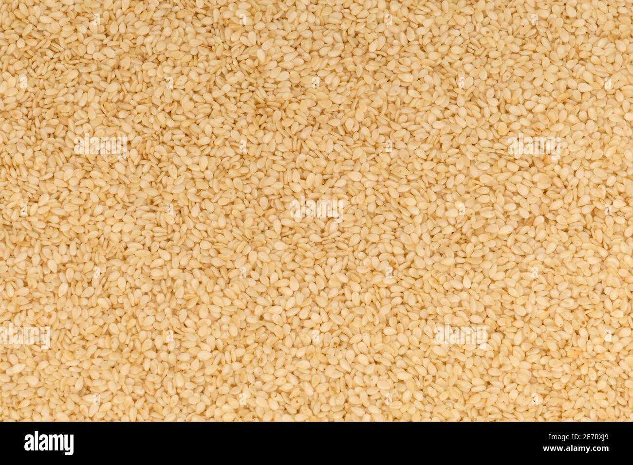 Closeup of sesame seeds Stock Photo