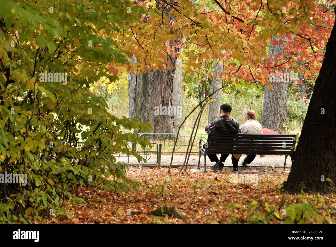 Bucharest, Romania - October 28, 2018: a couple of old man and women siting on a bench with the back, in a beautiful colored autumn day in the park Stock Photo