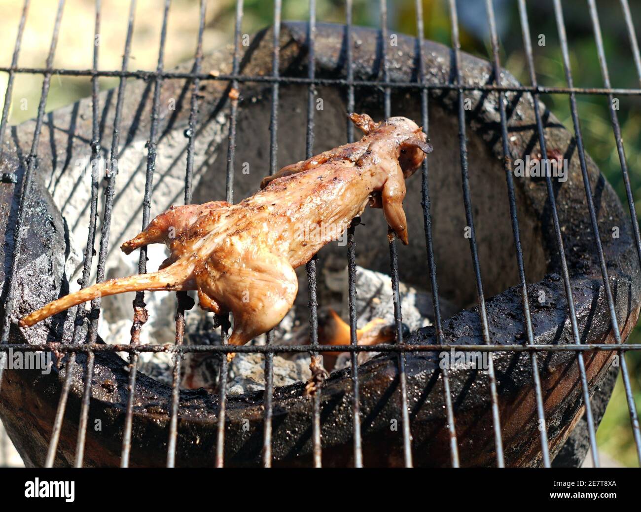 close-up-a-roast-rat-on-a-grill-grate-2E7T8XA.jpg
