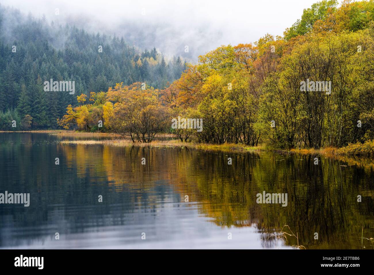 Colourful autumn reflections on Loch Chon in the Trossachs, Scotland, UK Stock Photo