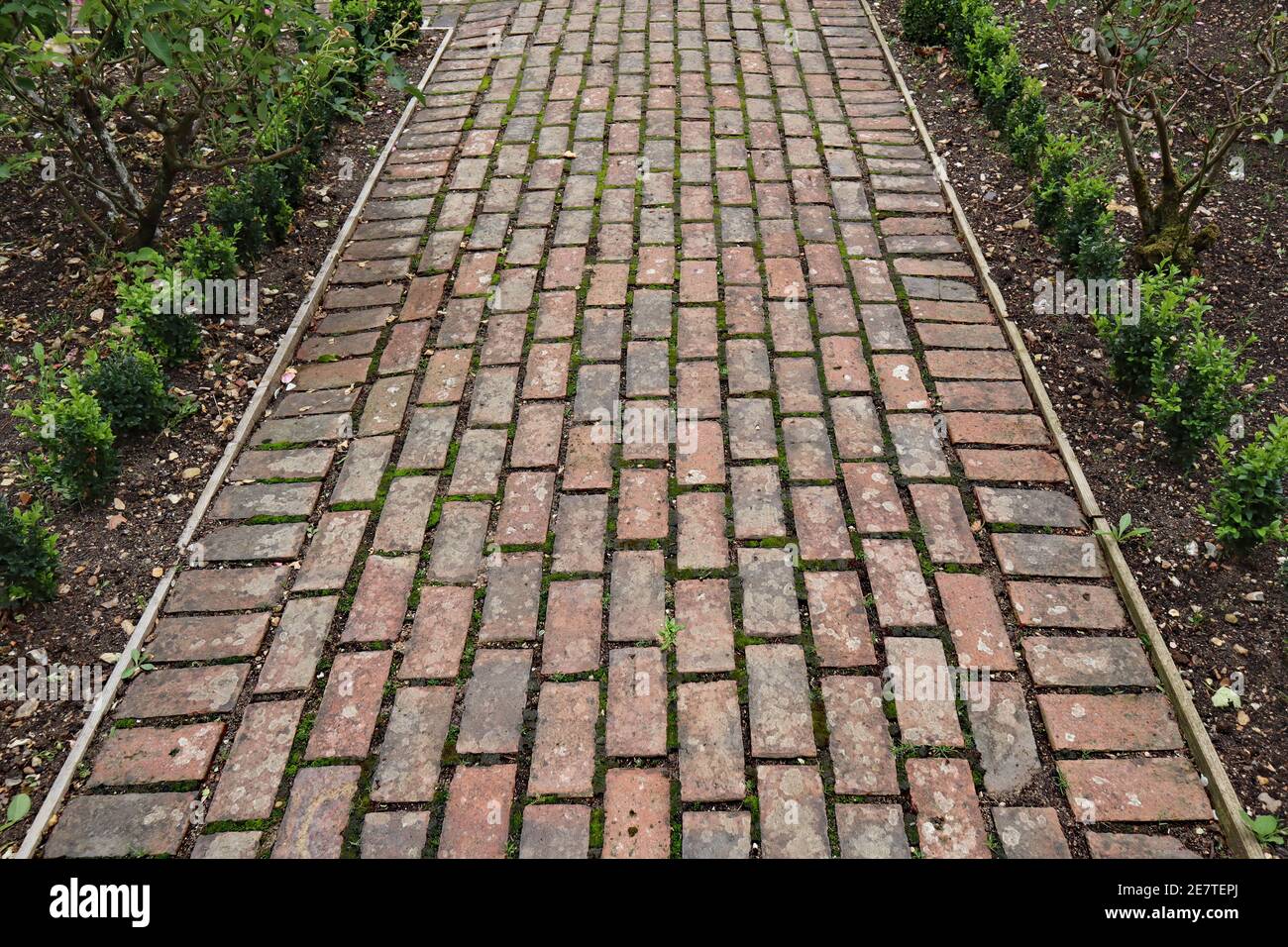 A pathway made from old bricks runs between flower beds with newly