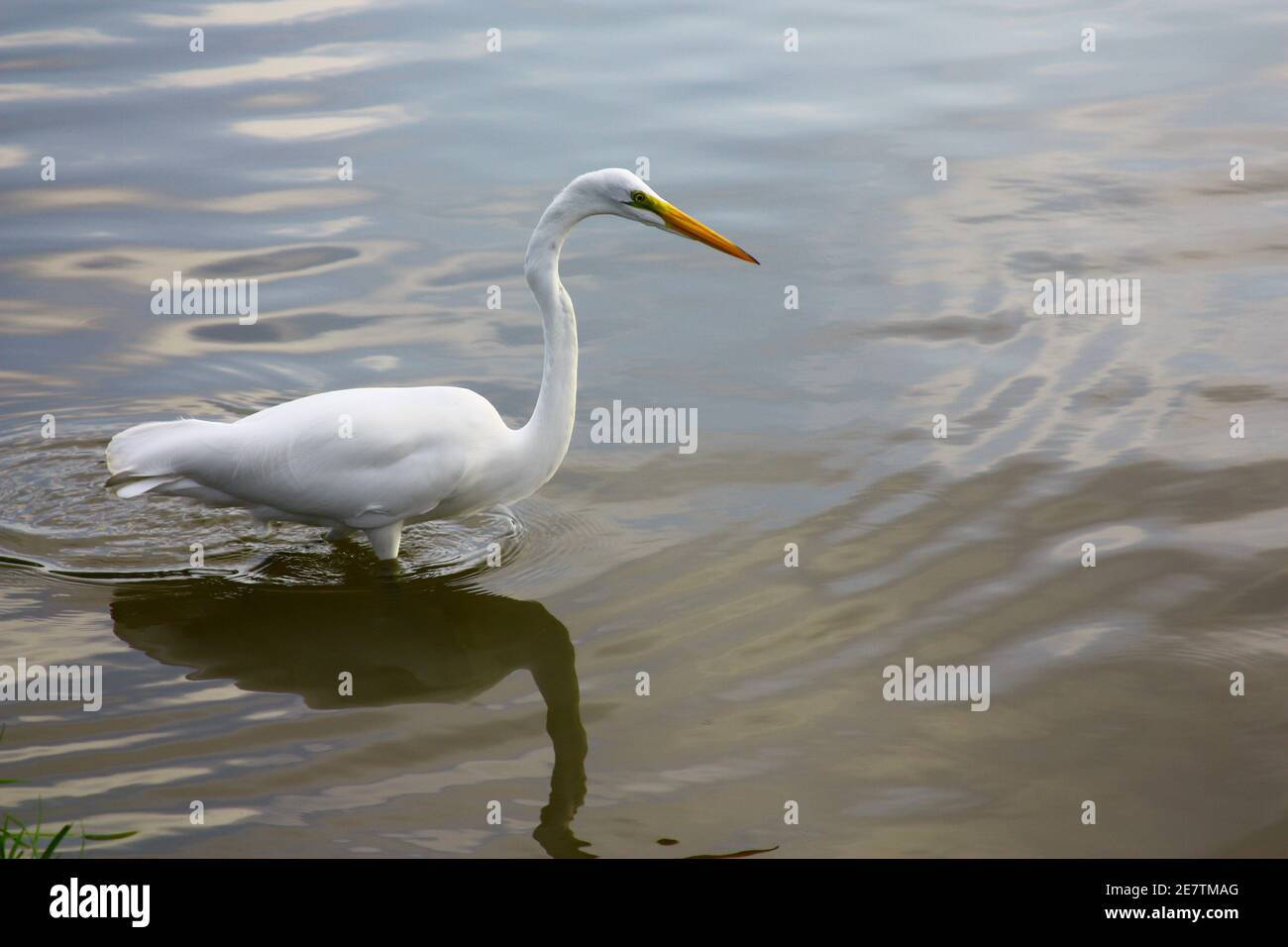 Parque Pedra Branca - Palhoça SC Brazil Stock Photo - Alamy