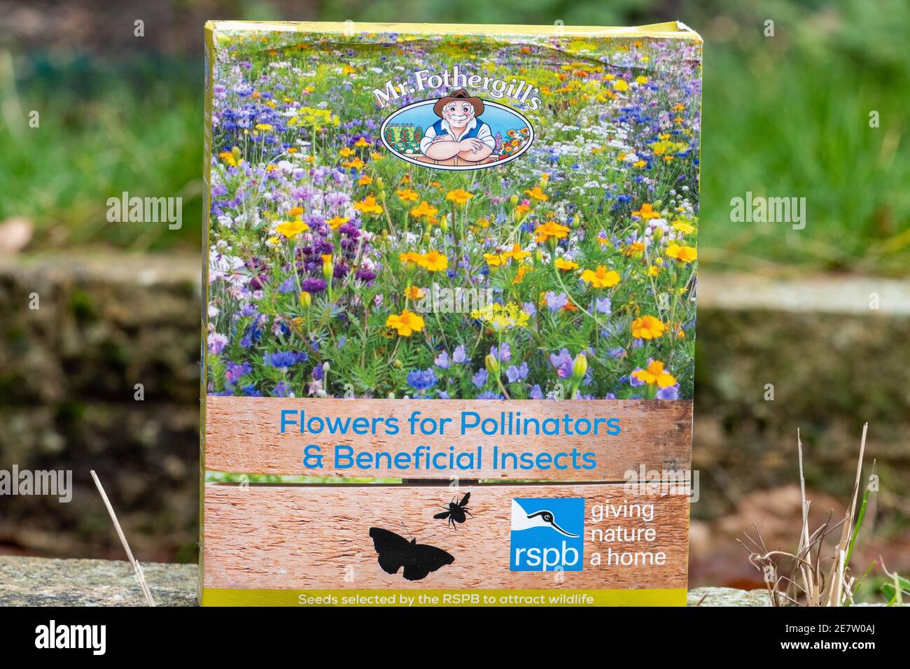 Mr Fothergill's seeds, packet of wildflower seeds, flowers for pollinators and beneficial insects, UK Stock Photo
