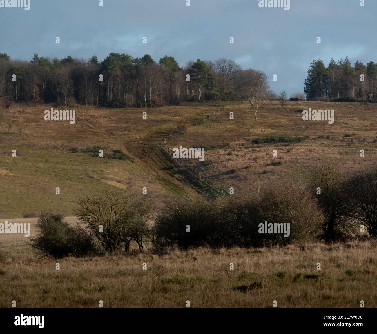 pathway up Sidbury hill, Tidworth, Wiltshire, treeline Stock Photo