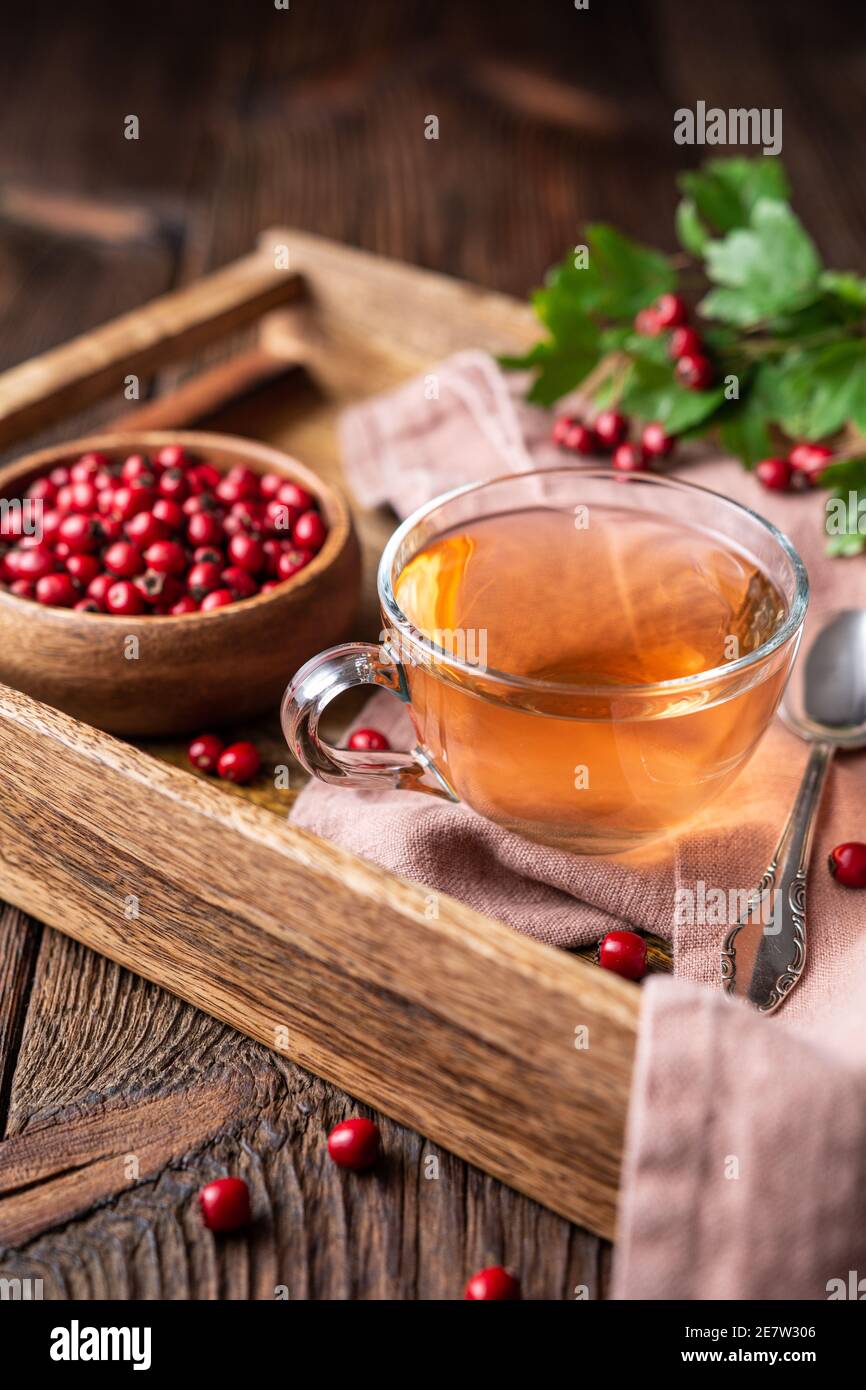 A cup of hot hawthorn tea made from freshly picked berries, herbal medicine for heart health on rustic wooden background Stock Photo
