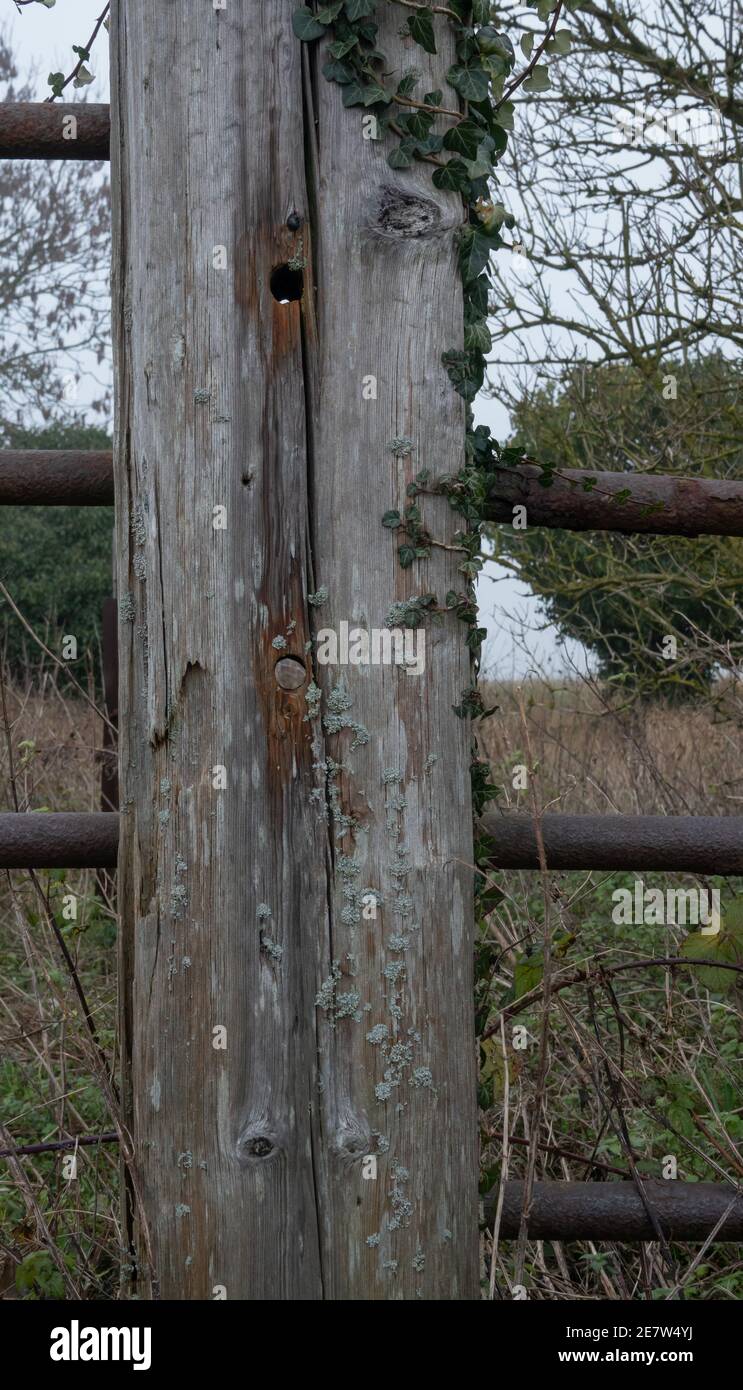 Old wooden fencepost supporting rusting metal rails taken on a very foggy day Stock Photo