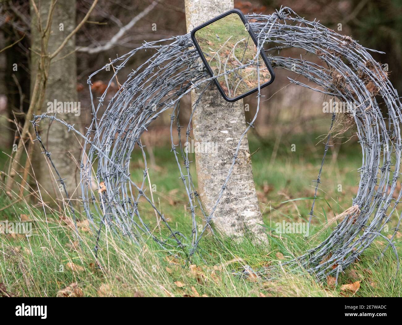 coiled barbed wire with car mirror leaning on a tree Stock Photo