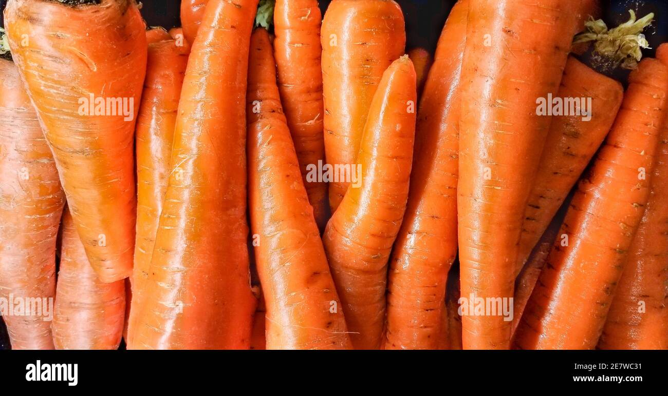 Fresh Carrots at a Produce Stand. Stock Photo