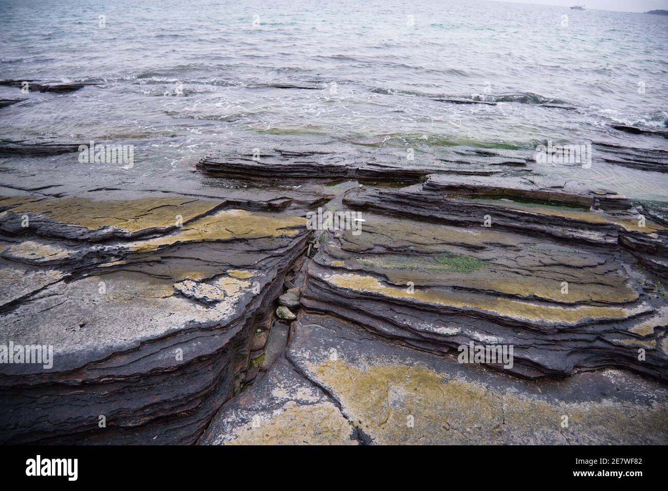 Tung Ping Chau, Hong Kong sedimentary rocks with a variety of marine