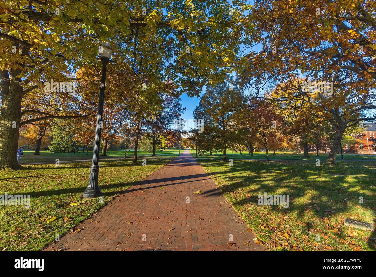 COLUMBUS, OH, USA - NOVEMBER 7:  The Oval on November 7, 2020 at Ohio State University in Columbus, Ohio. Stock Photo
