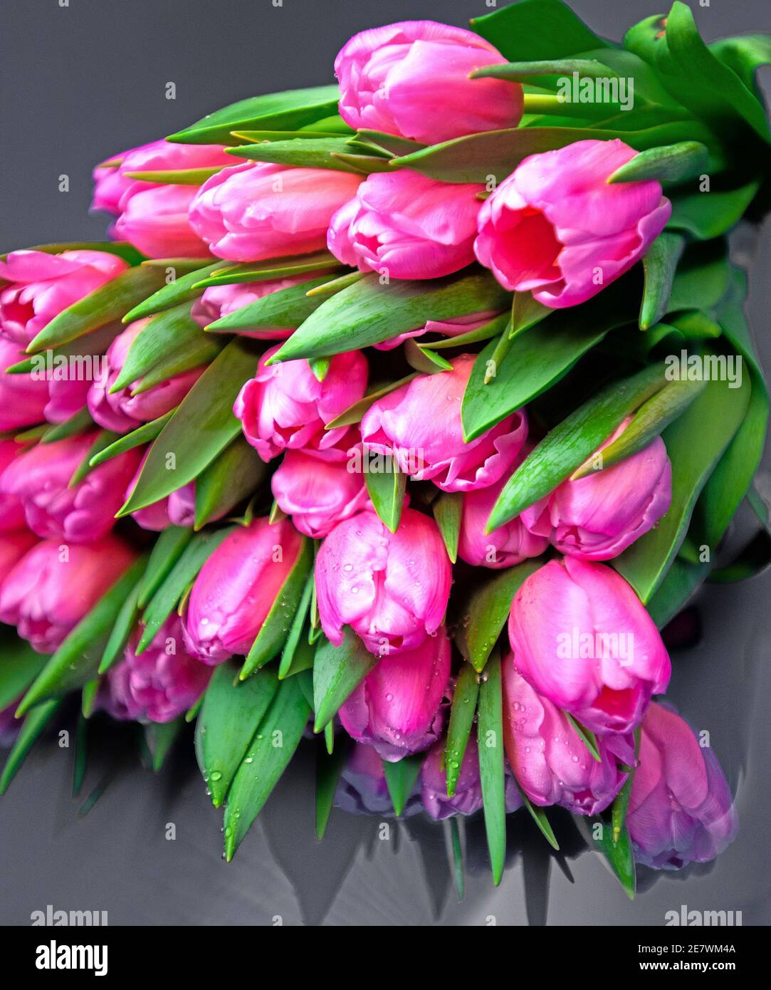 Bunch pink tulips Stock Photo