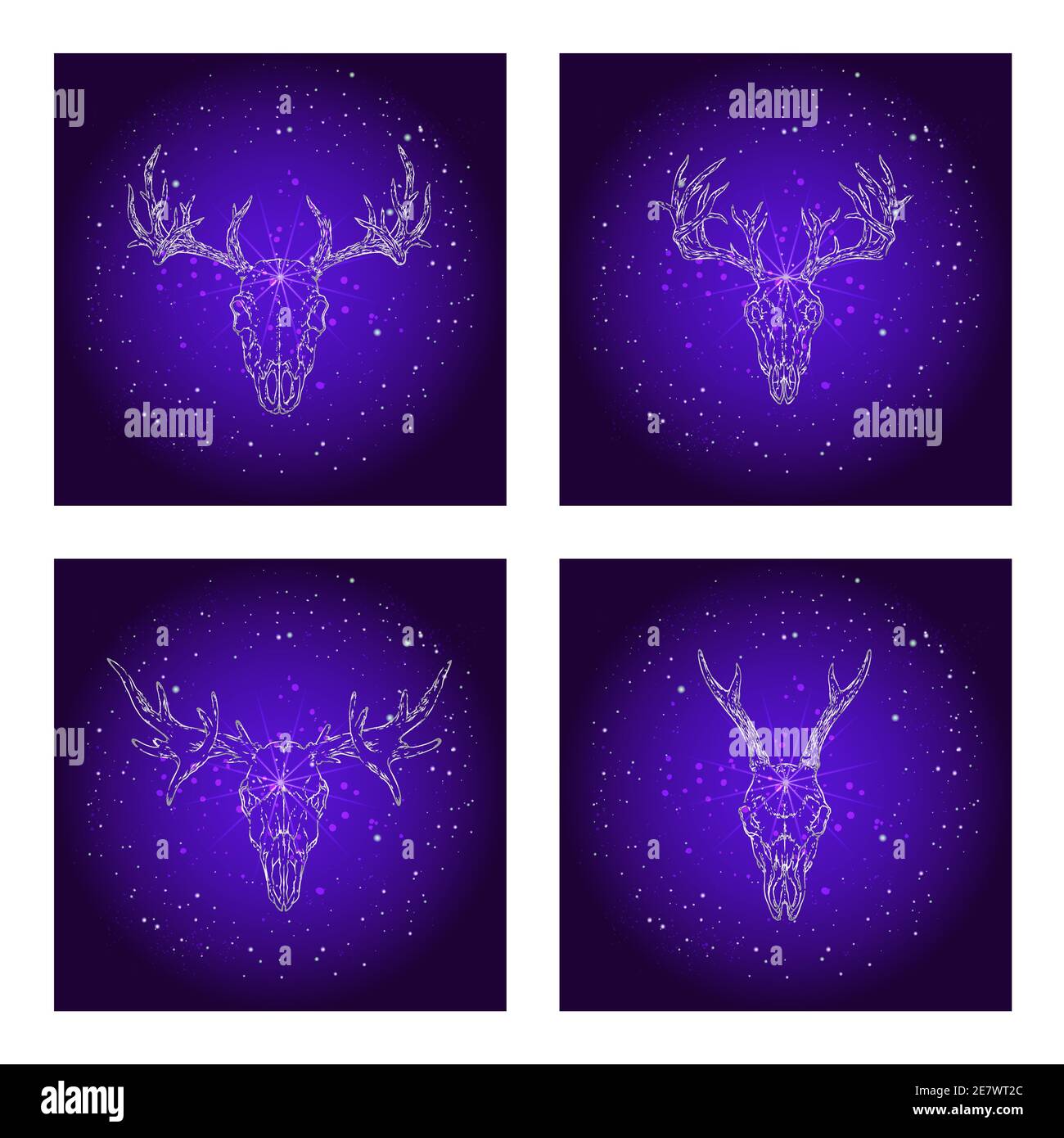 Vector set of four illustrations with hand drawn skulls deer and moose ...