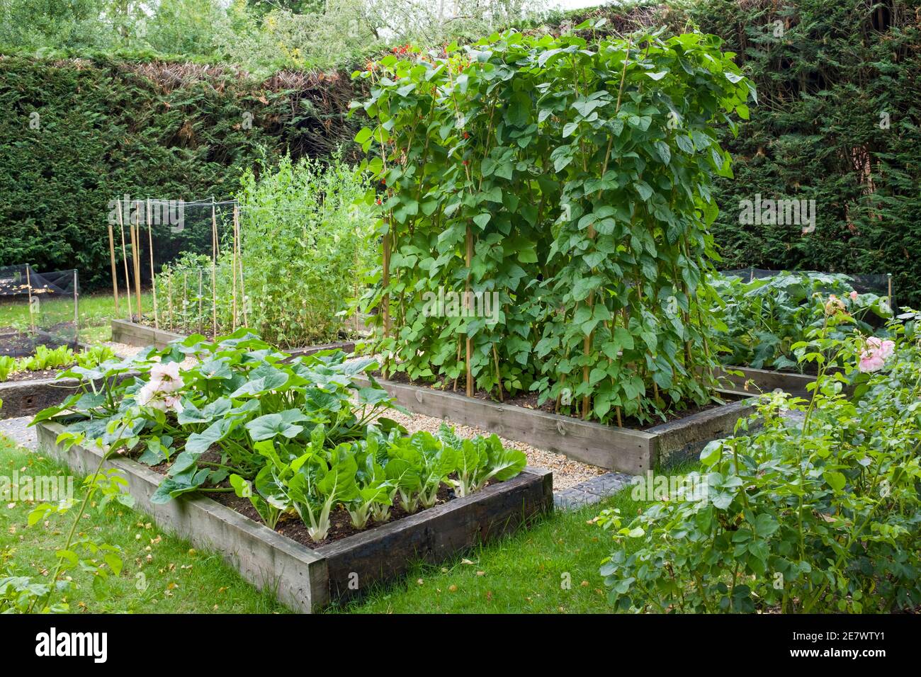 Vegetable patch with raised beds in a large English garden, UK Stock Photo
