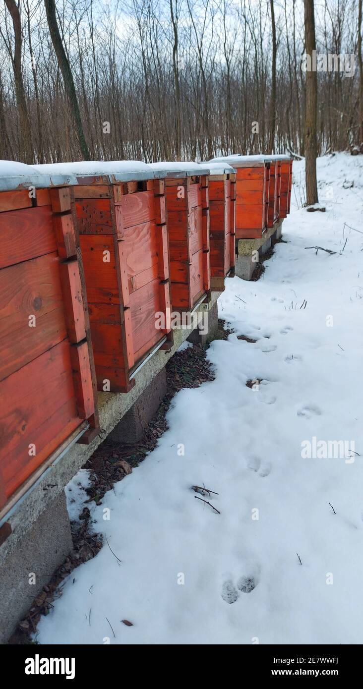 Vertical shot of red wooden beehives in a field covered in the snow Stock Photo