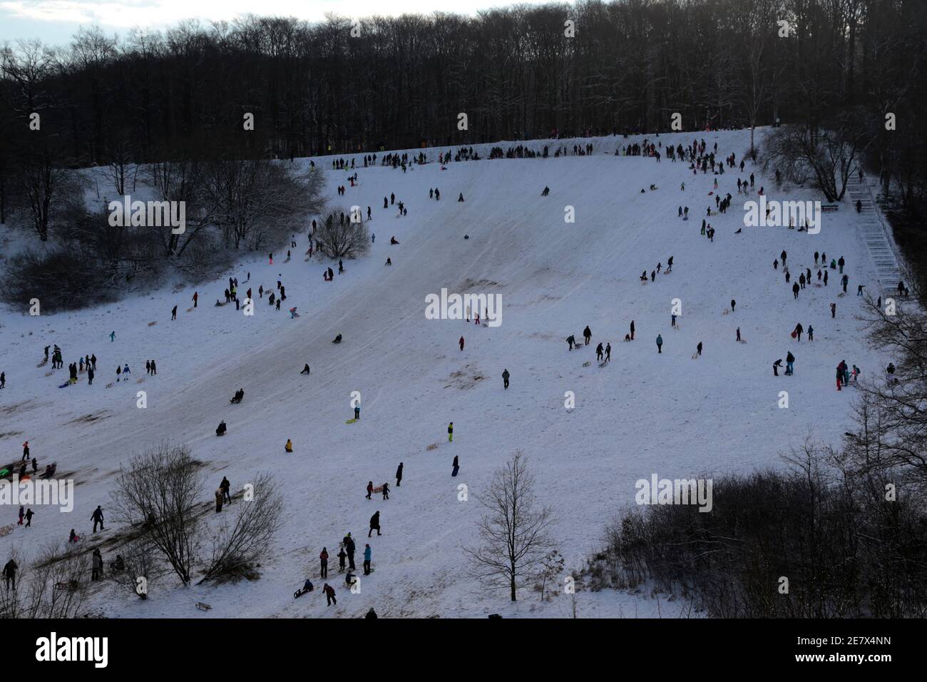 sledding in the Kieskuhle in Hamburg Rissen, Germany Stock Photo Alamy