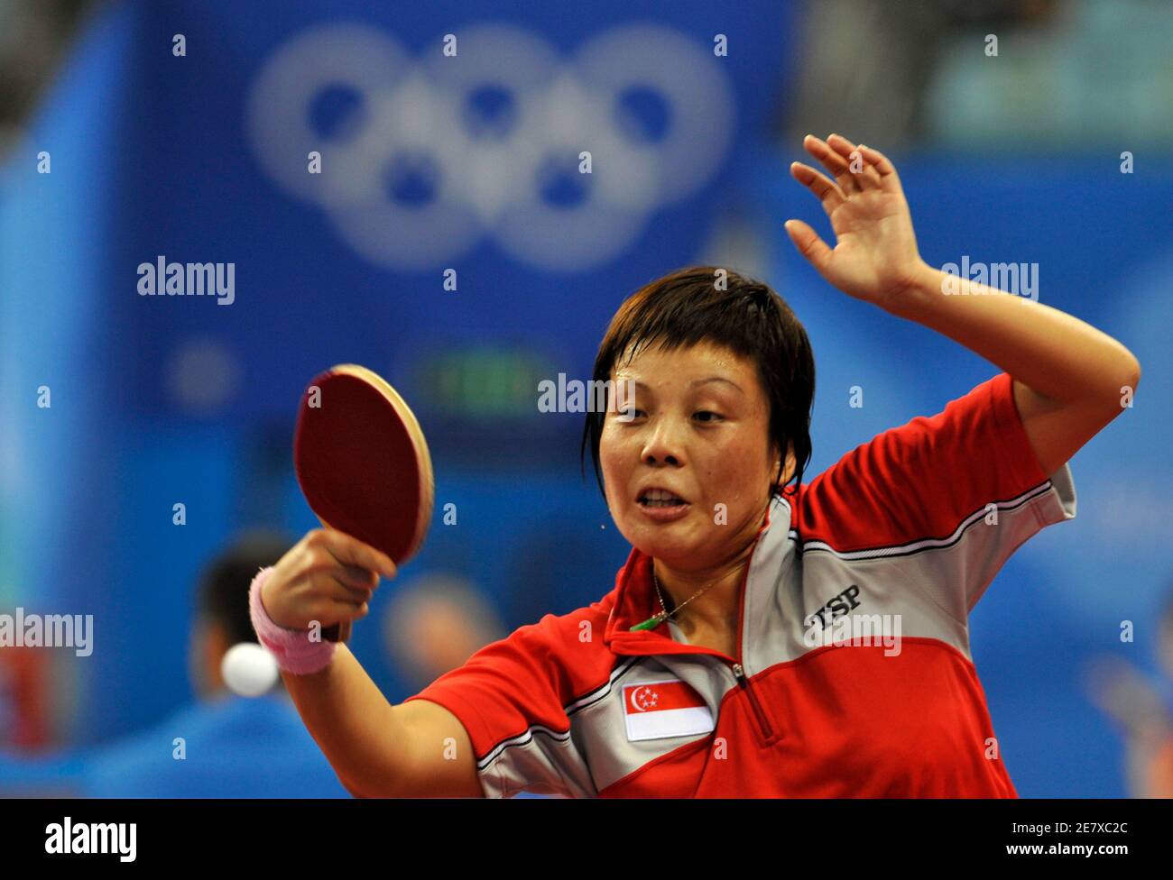 36 Best Photos Denver Table Tennis Club - Top Spin Table Tennis Training Center Home Facebook