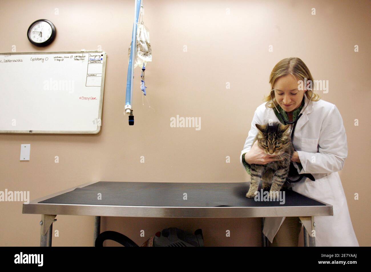 Canadian centre for human and animal he hires stock photography and