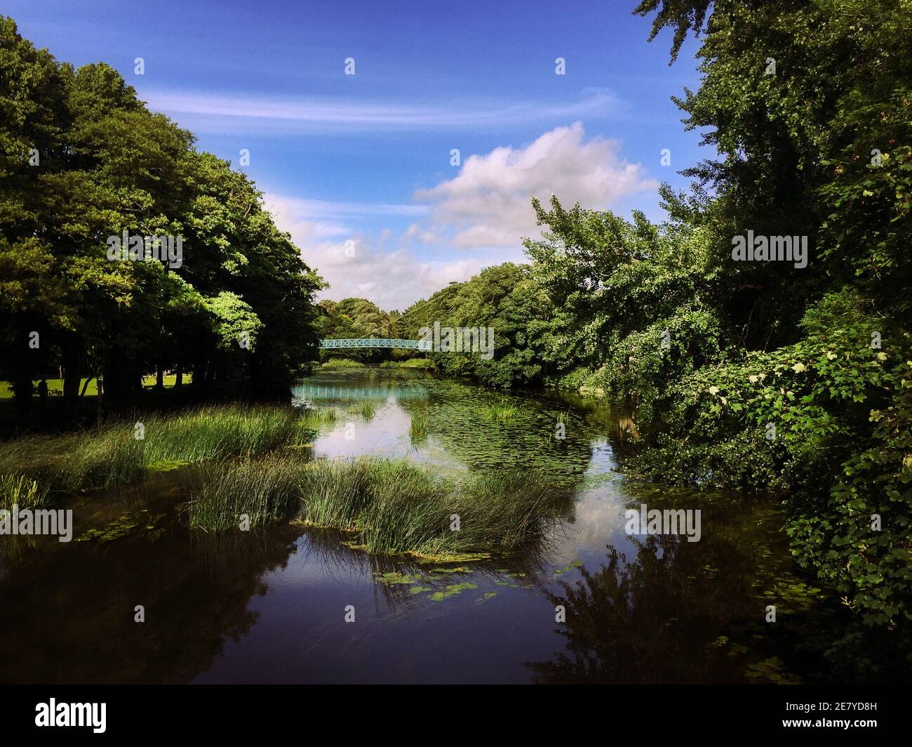 Silt-laden water rushing over a weir on the River Stour Blandford Dorset  England UK Stock Photo - Alamy