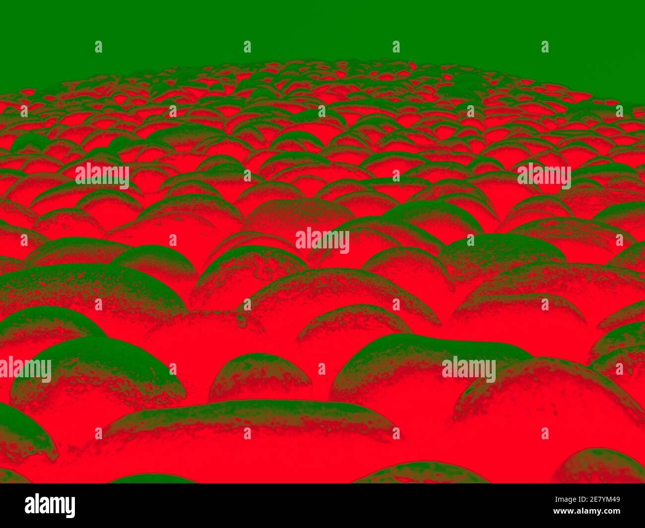 Close Up To A Rock Wall, Bright Red And Dark Green, An exhibit in ...