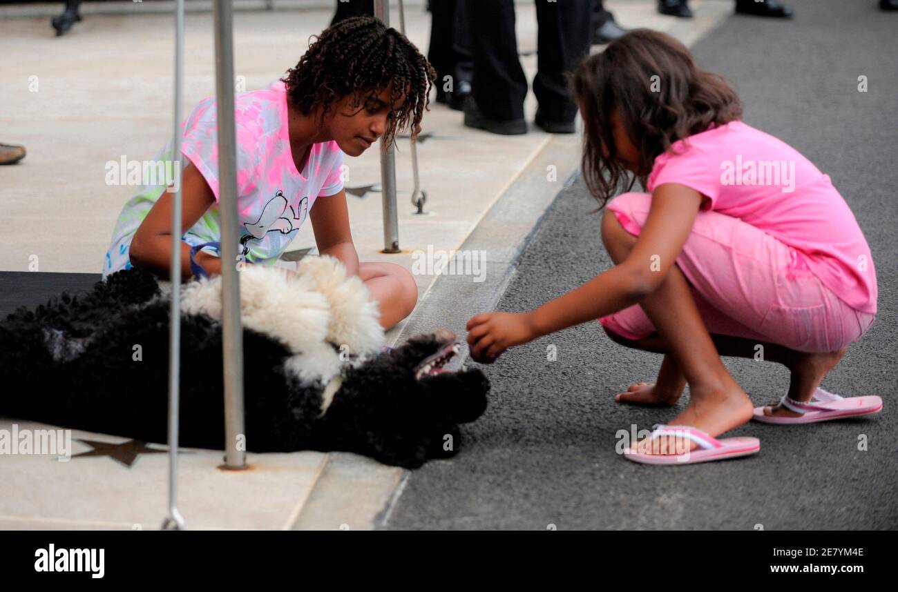 U.S. President Barack Obama's daughters Malia (L) and Sasha play with the first family's dog Bo as they wait for Obama's return to Washington after a day trip to Ohio and Pennsylvania, where he participated in economic rallies, September 15, 2009.                 REUTERS/Mike Theiler (UNITED STATES POLITICS) Stock Photo