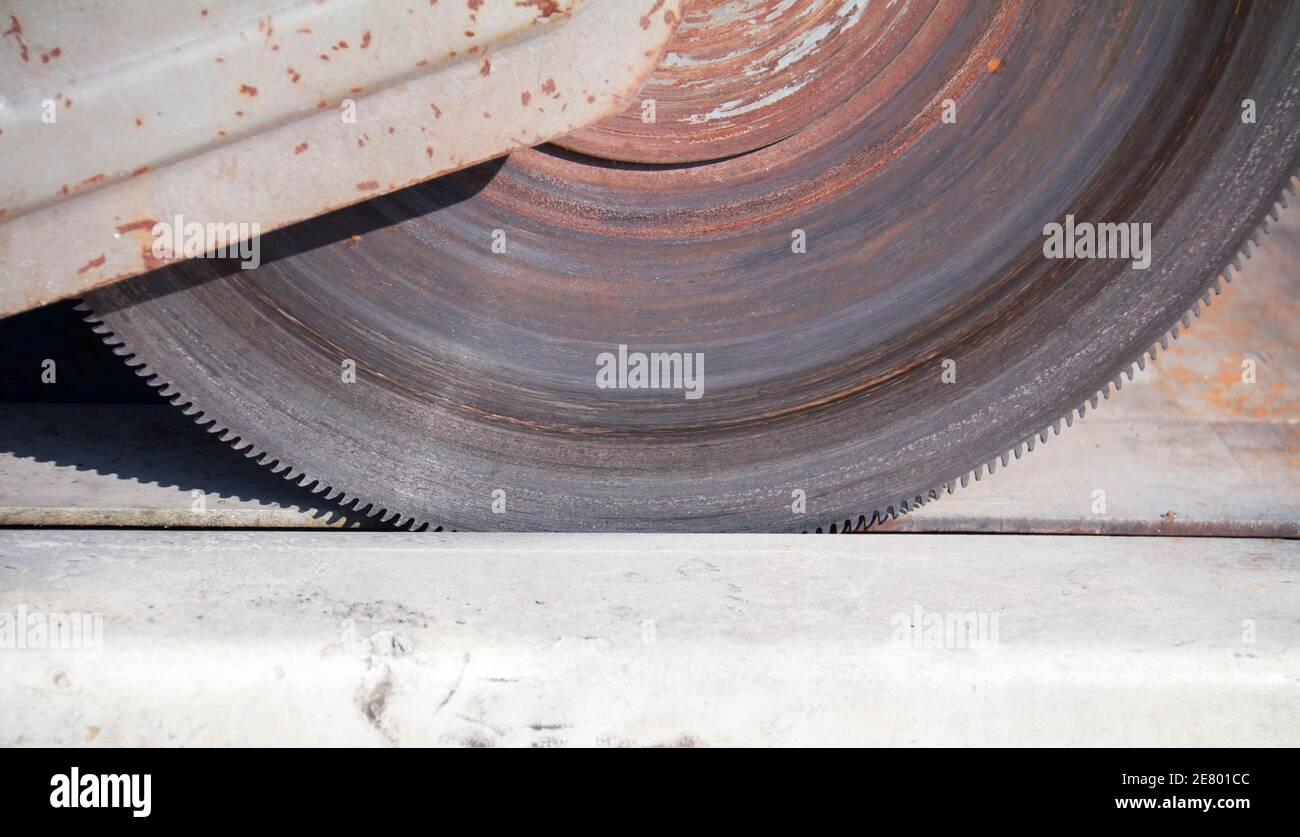 Closeup of sharp circular saw blade Stock Photo
