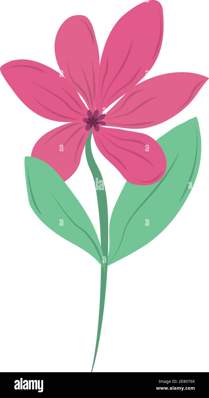 flower nature floral isolated icon vector illustration Stock Vector ...