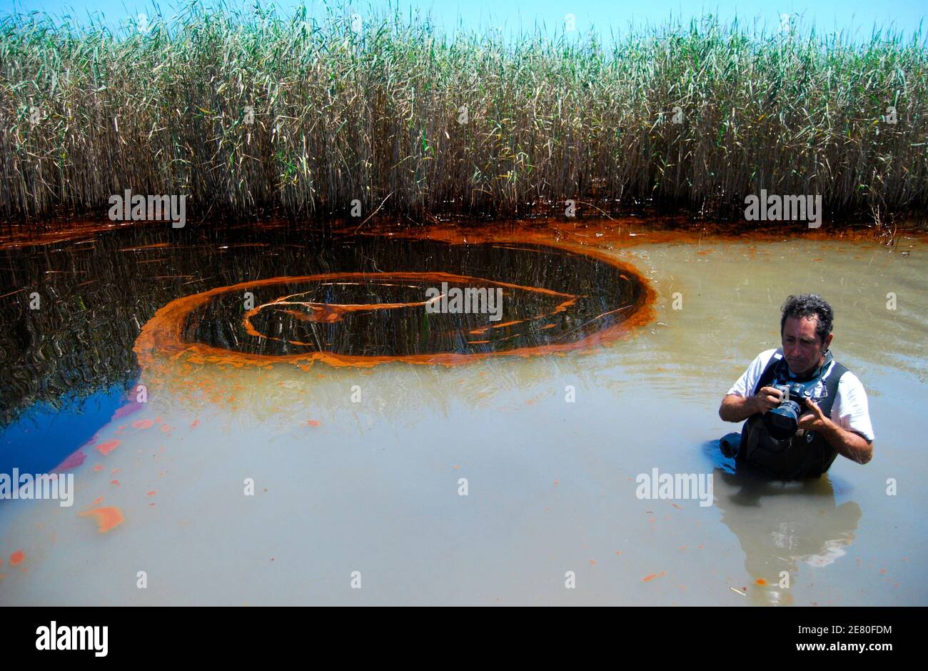 Reuters photographer Lee Celano photographs oil in a marsh near Pass a Loutre, Louisiana, May 20, 2010. For nearly a month, roughly 5,000 barrels (210,000 gallons/795,000 liters) of oil per day have been gushing from BP's broken Deepwater oil well situated in the Gulf of Mexico, in what could be named the worst oil spill in U.S. history. REUTERS/Matthew Bigg (UNITED STATES - Tags: DISASTER ENVIRONMENT) Stock Photo
