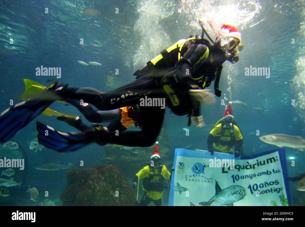 Barcelona's soccer player Lionel Messi (top) of Argentina waves from inside a tank at the Barcelona Aquarium while wearing a Santa Claus' hat in Barcelona December 19, 2005. The aquarium celebrates its anniversary each year with a sport or celebrity personality. The banner in the background reads 'Ten years with you' in celebration of the aquarium's ten year anniversary. REUTERS/Gustau Nacarino Stock Photo