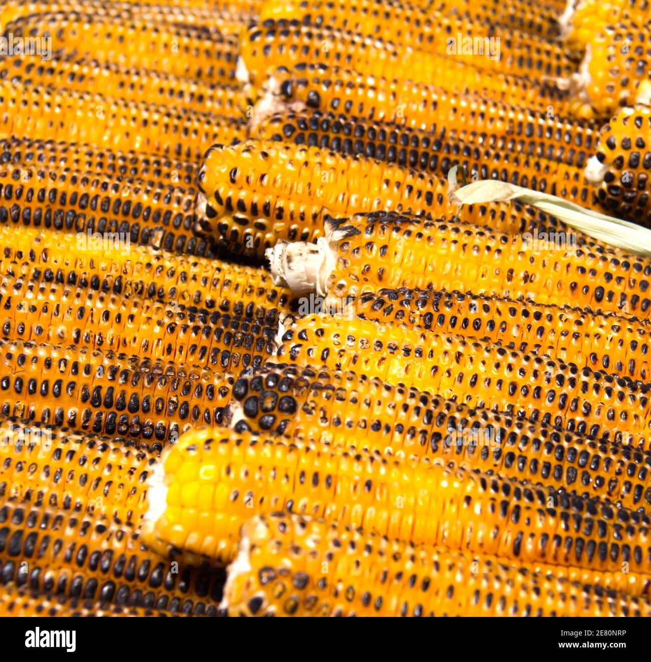 Roasted barbecue corn Stock Photo
