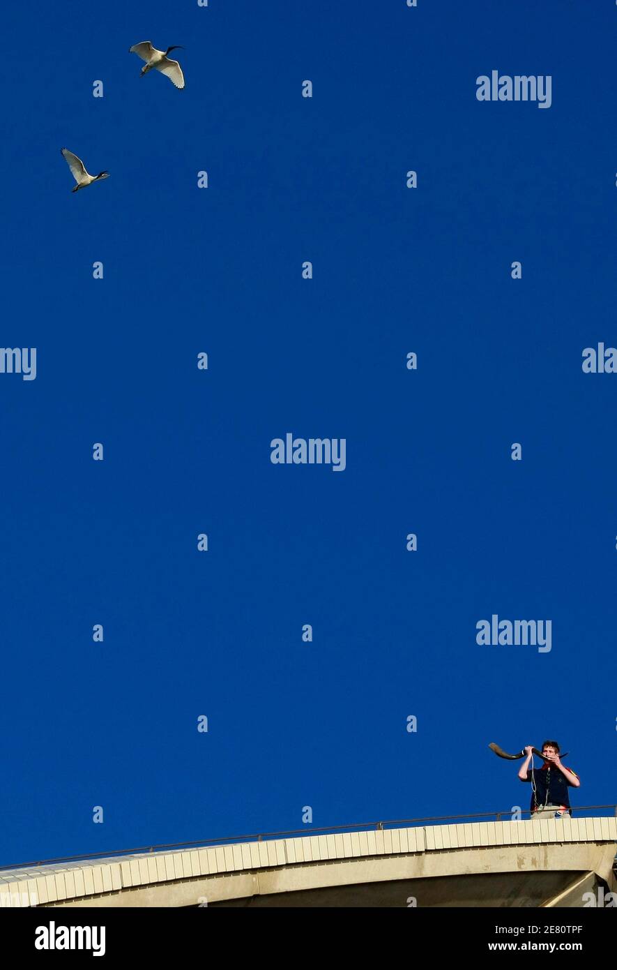 Lord wimborne hires stock photography and images Alamy