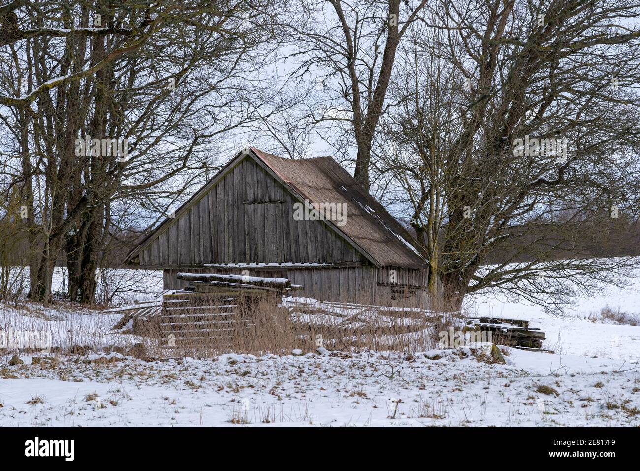 Old destroyed barn on hi-res stock photography and images - Alamy