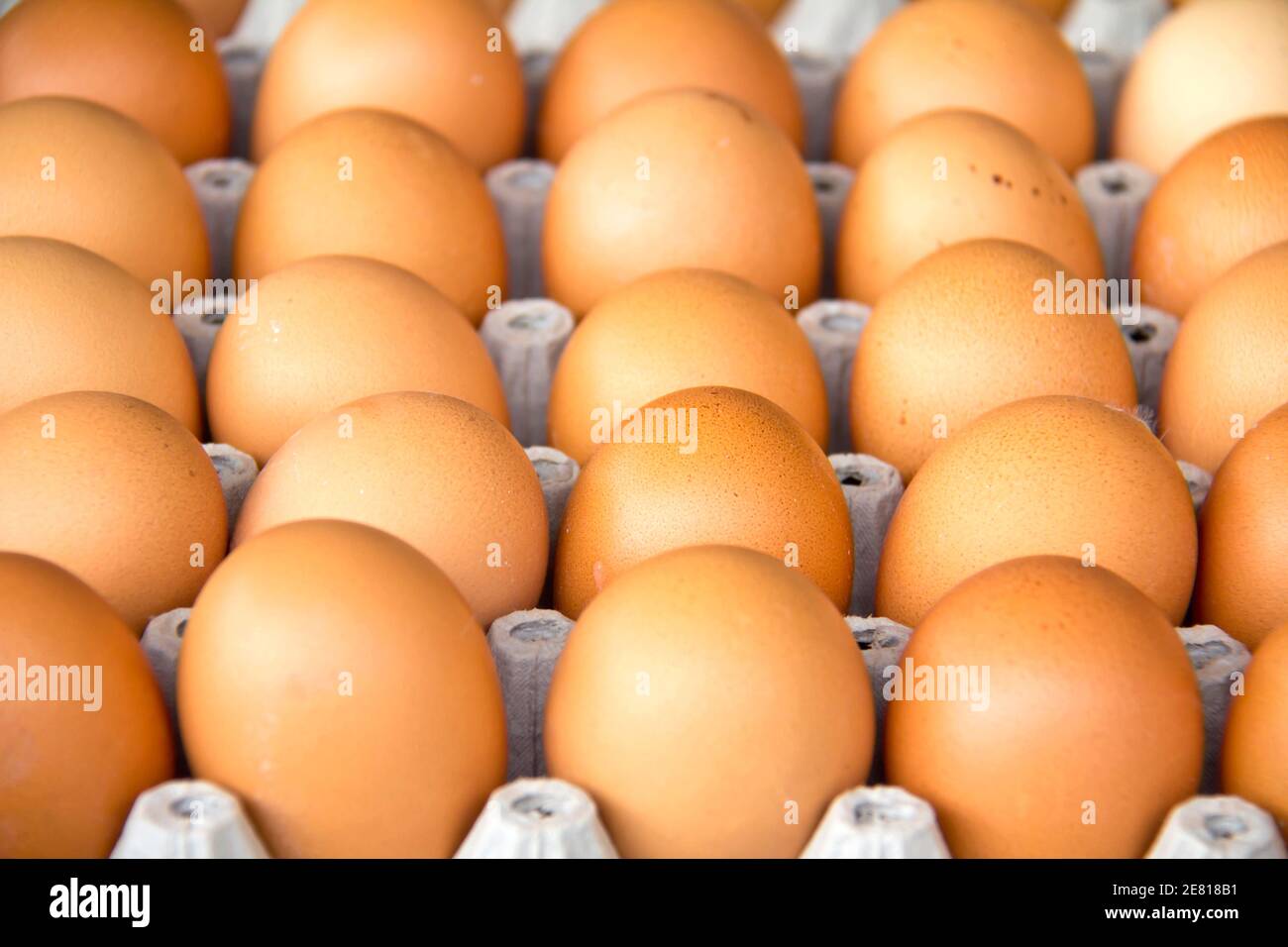 Eggs in the box. Stock Photo