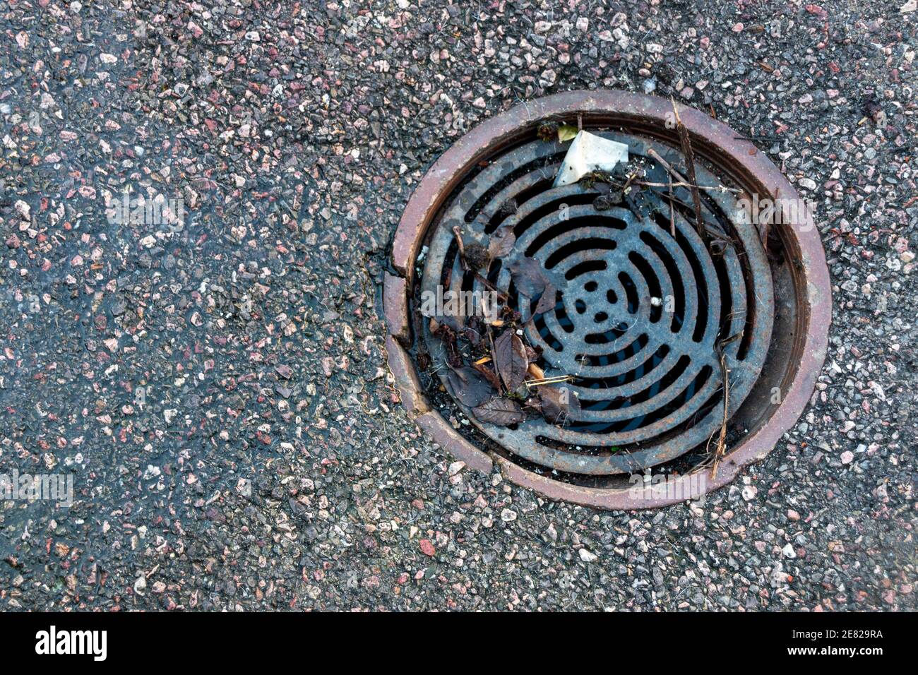 a close up view of a water drain where the cover has debris caught in the grid Stock Photo